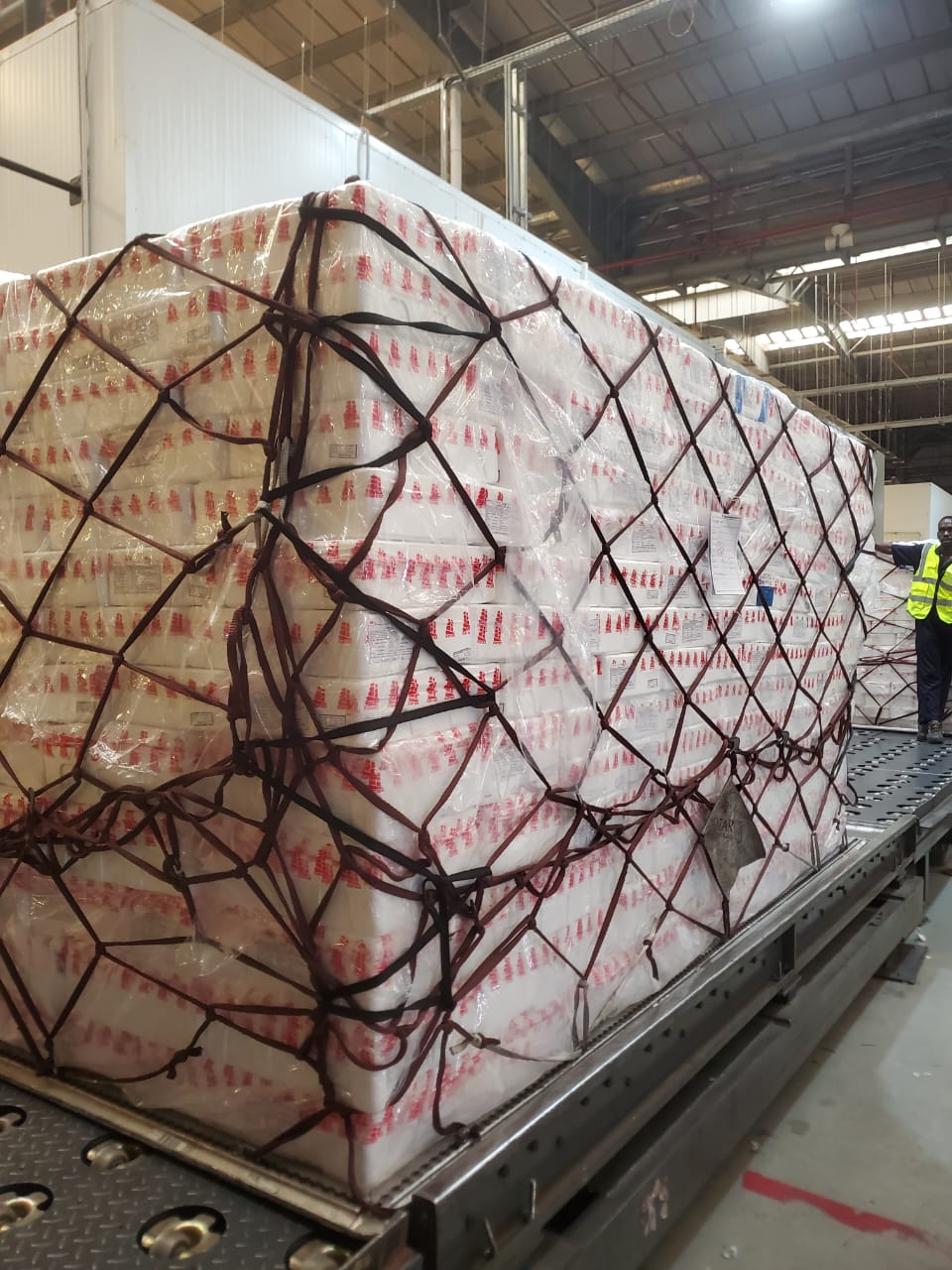 Ground crew handling aircraft cargo